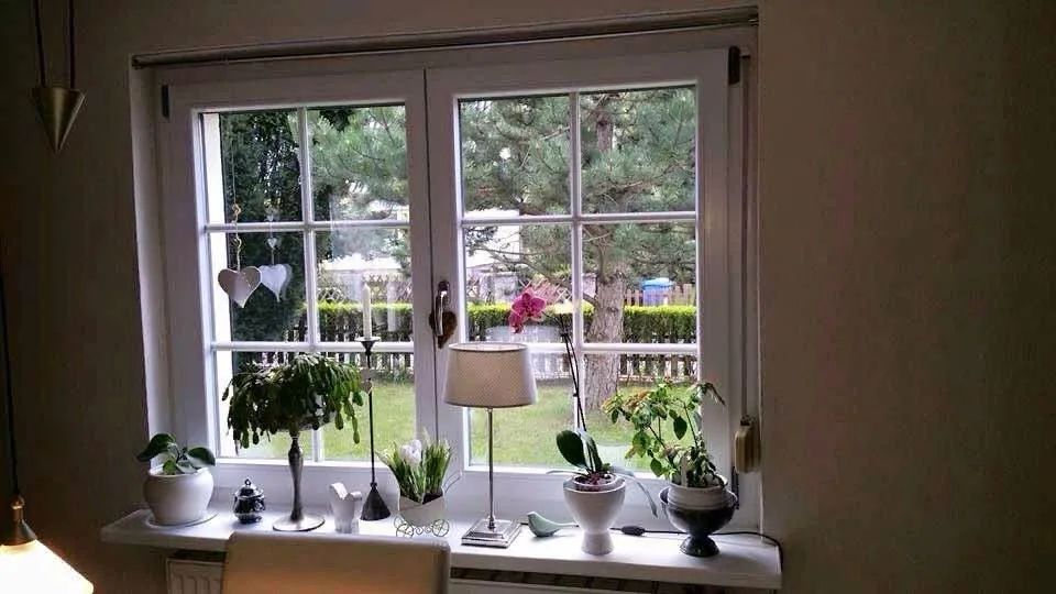 Fenster